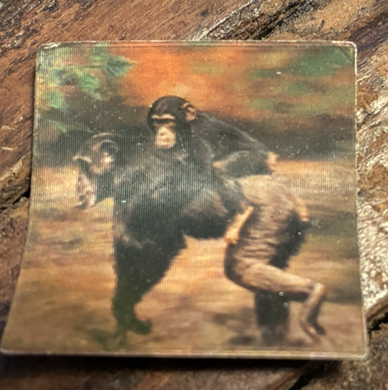 Premium Cracker Jack Prize Endangered Species Chimpanzee 3D Card Toy