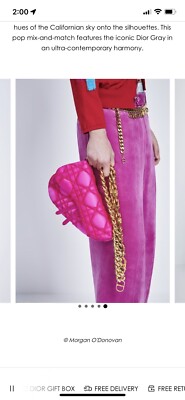 Dior x ERL $5K Venice Saddle Bag Kumo Cannage Satin Pink Limited