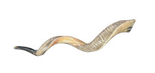 Yemenite Shofar Kudu Horn Kosher-Made Shofar SHIPS FROM USA XL Size: Approx. 42"