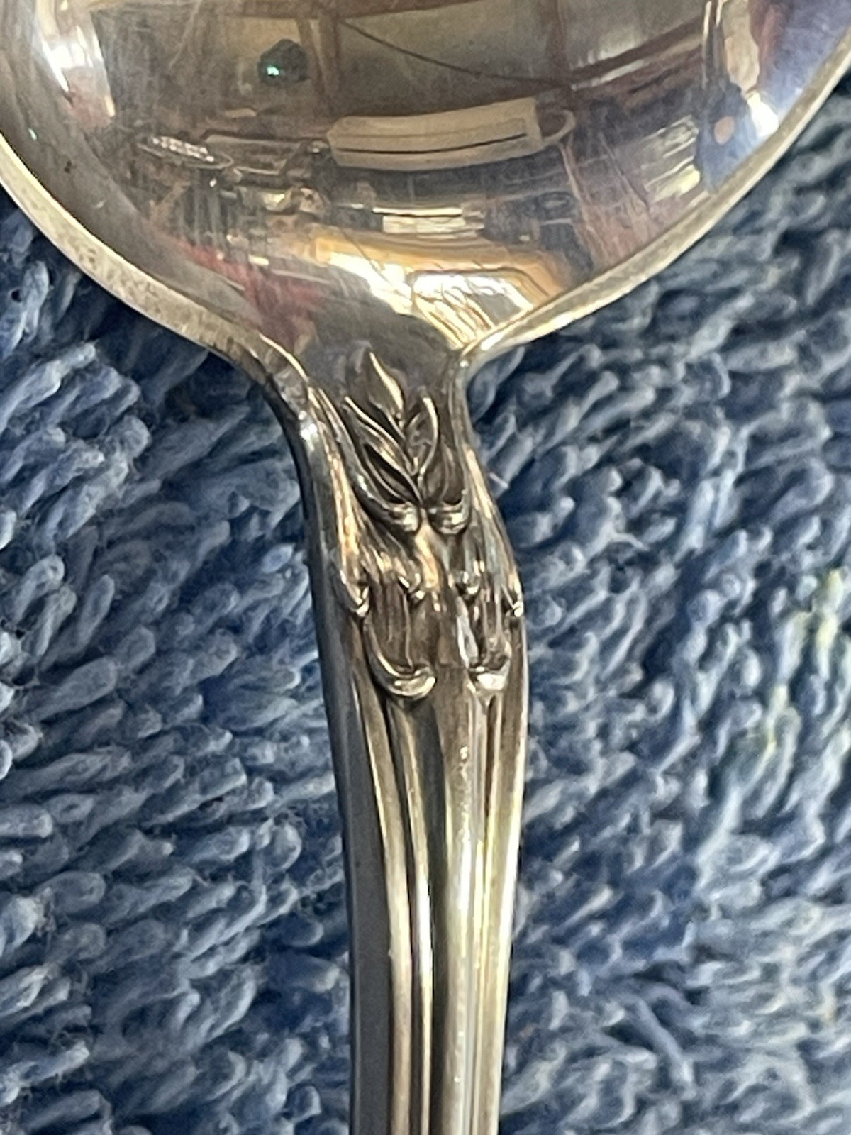 Picture 13 of 16
