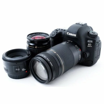 Canon EOS 6D Mark II Standard, Super Telephoto, and Prime Triple Lens Set