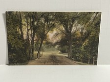 Willow Arch Stockbridge Massachusetts MA Hand Colored Postcard B17