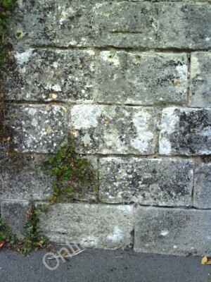 Photo 6x4 Benchmark on boundary wall of Culliford House Dorchester/SY689 c2010