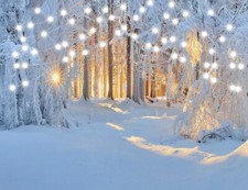 Winter Vinyl Backdrop Forest Photo Background Pine Tree Snow Scene Studio Props