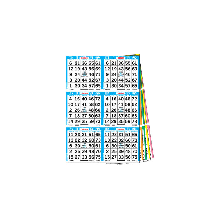 Bingo Paper Game Cards 6 on 10 up- Book of 50- 500 Sheets-10 Different Colors