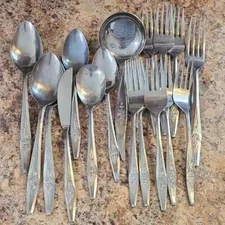 Nasco Stainless 17 PC Flatware Silverware Kitchen Dinner Eat Table