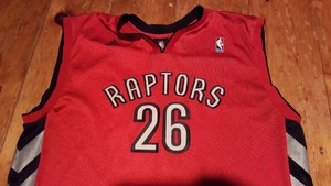 hedo turkoglu jersey