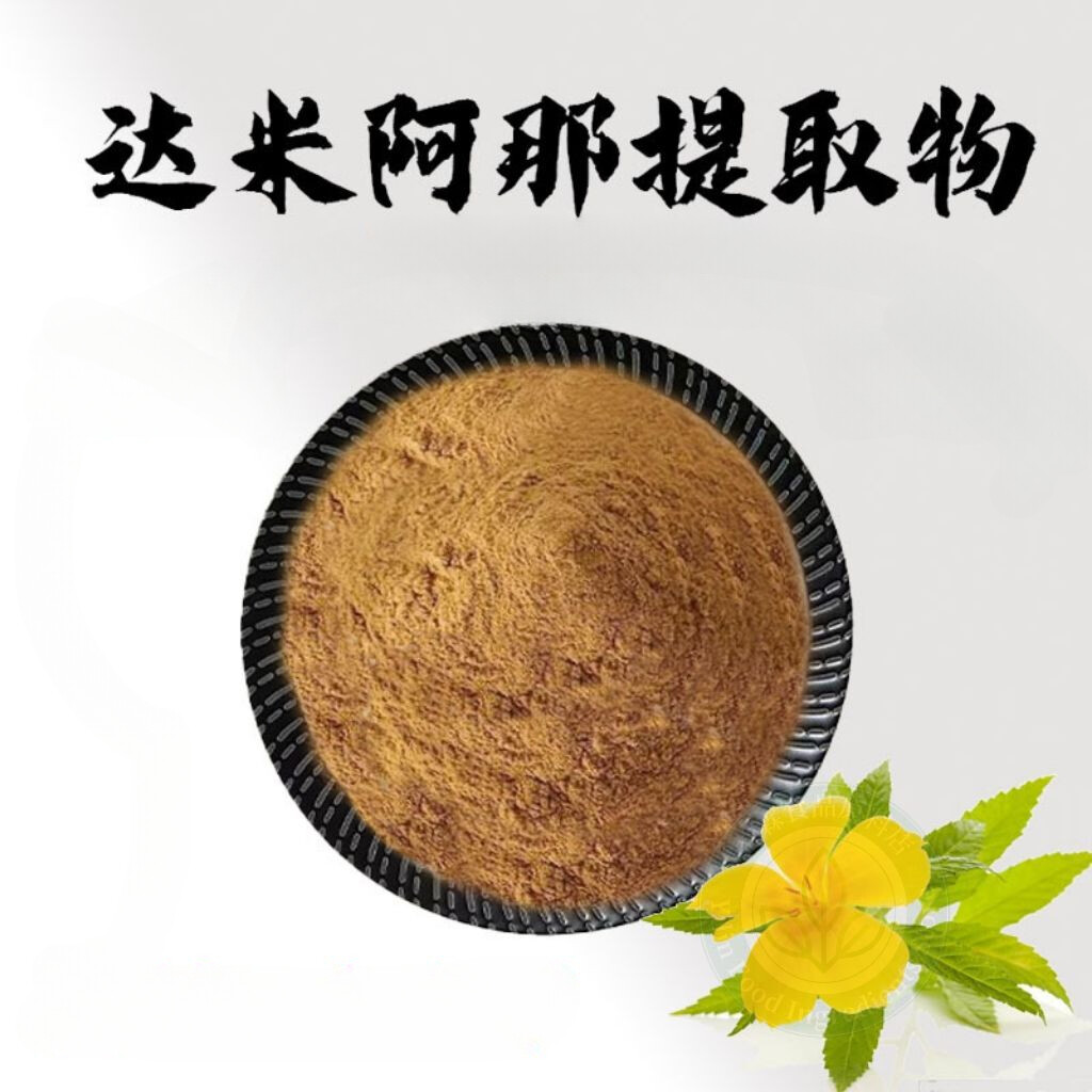 Extracto de Damiana Damiana Hierba Natural Concentrado Memoria Enfoque Cerebral Energía