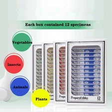 48pcs Plastic Prepared Microscope Slides Sample Animals Insects Plants Flowers