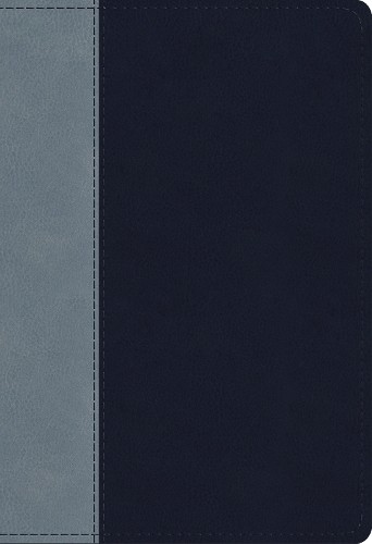 ESV Student Study Bible - 9781433566981