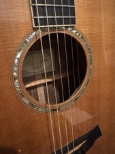Taylor GS8