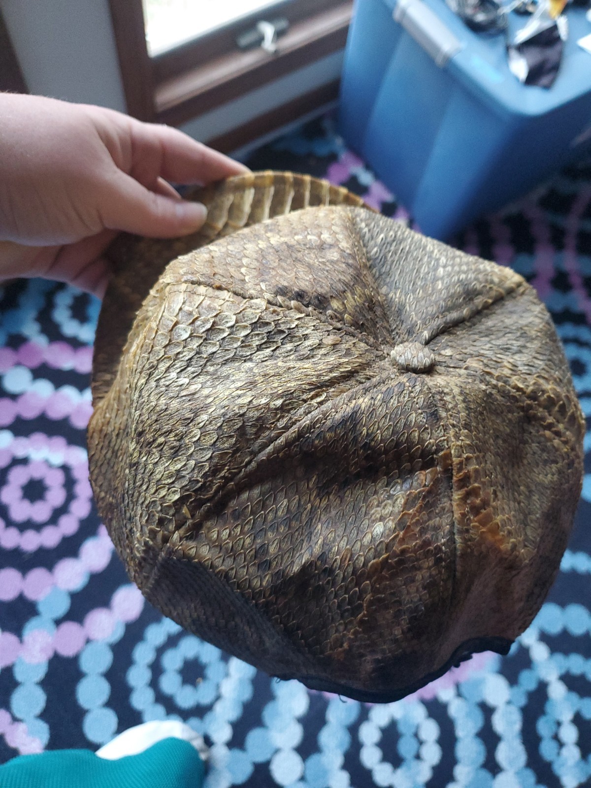 PR2 Vintage Genuine snakeskin Python Leather Truc… - image 6