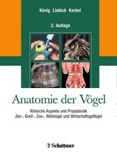 Anatomie der Vögel Horst Erich König