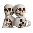 4 Pcs Human Life Size Skeleton Skull Halloween Moving Jaw Decorations — photo 1