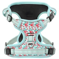 Dog Harness, 3 Snap Buckles No-Pull Soft Padded Dog Vest with 2 Metal Leash C...