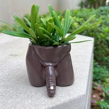 Body Vases,Penis Planter Pot,Funny Planter,Male Body Plant Pots,Succulent Flo...