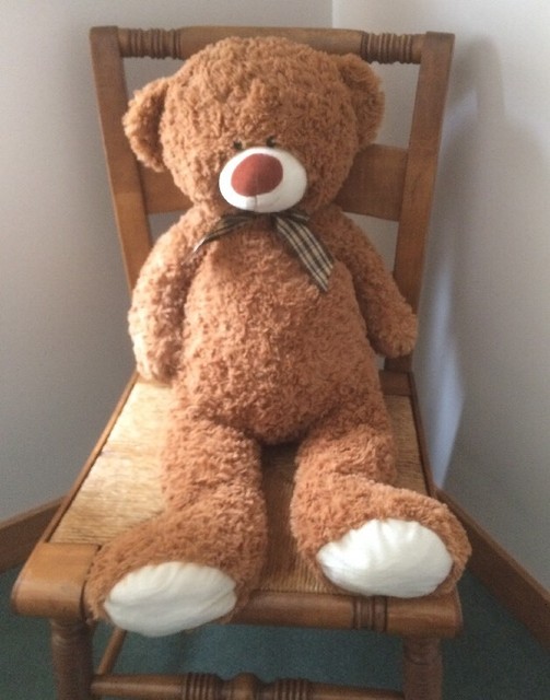 hugfun international bear