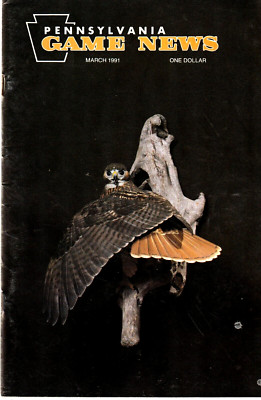 Pennsylvania Game News March 1991 Red-Tailed Hawk Cover Wood Carving by T. Duran