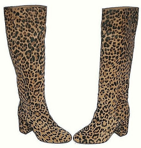 gianni bini cheetah