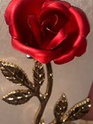 Foto 10 di 12