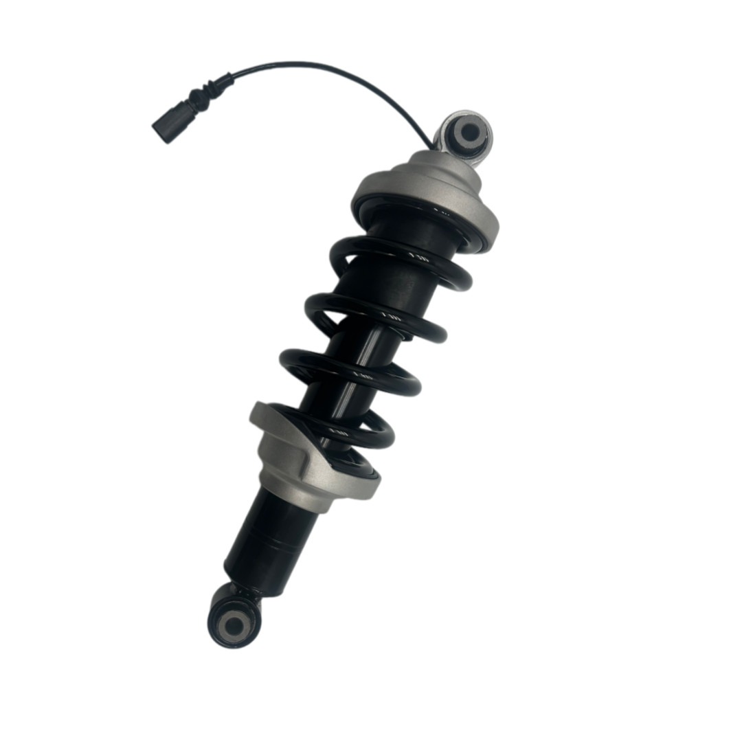 Audi R8 2017-2021 REAR Strut assembly P/N 4S0512019B