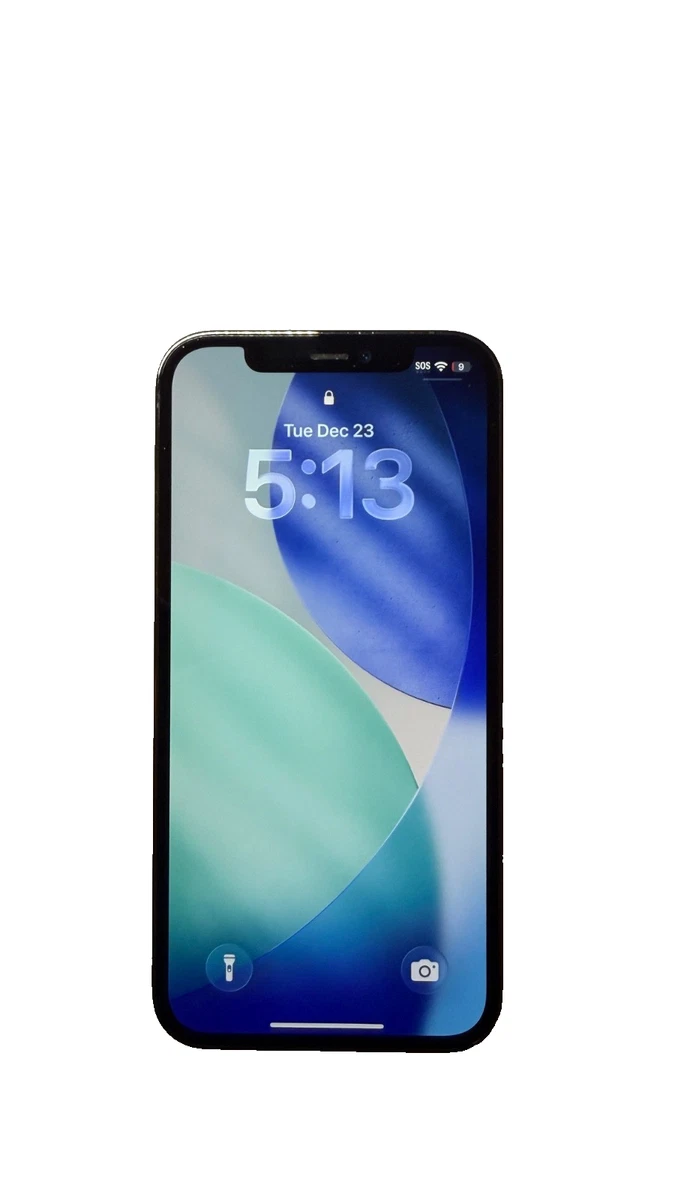 Las mejores ofertas en Apple iPhone 12 Pro 256GB | eBay