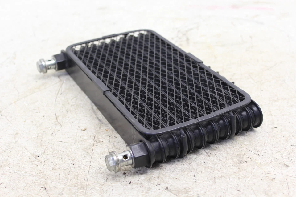 HYOSUNG GV250 2010 OEM MOTOR ENFRIADOR DE ACEITE B34D Foto 3 de 4