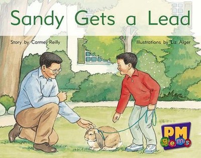 Sandy Gets a Lead 1st Edition by Carmel Reilly (English) Paperback Book