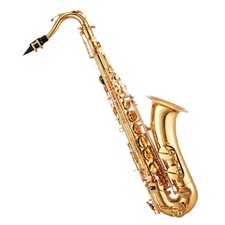 Student Beginner Tenor Saxophone Kit in B Flat, 23 Keys, Gold w/ Case