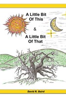 David R. Baird | A Little Bit Of This & A Little Bit Of That | Taschenbuch