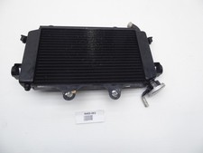 Radiatore KTM 125 Duke 2015 JU601216 90635010000