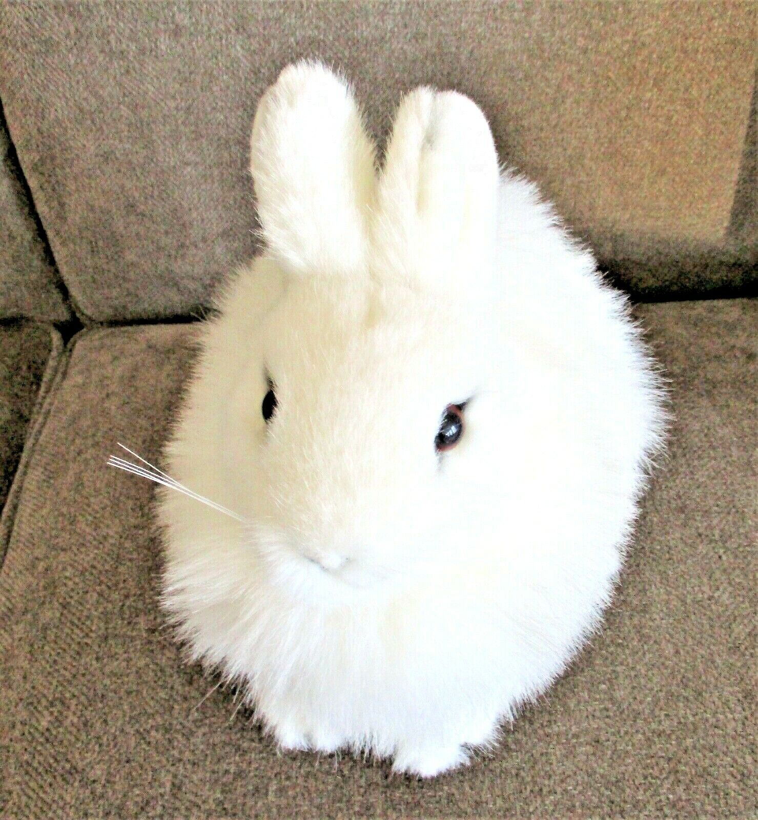 White Fluffy Selling and selling Realistic Animer and price revision Easter RABBIT Plush 1989 Bunny Stuf DAKIN