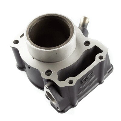 Brandneu Lexmoto LXR 125 & LS-Z Euro 5, kompletter Zylinderlauf - CYL064/30996