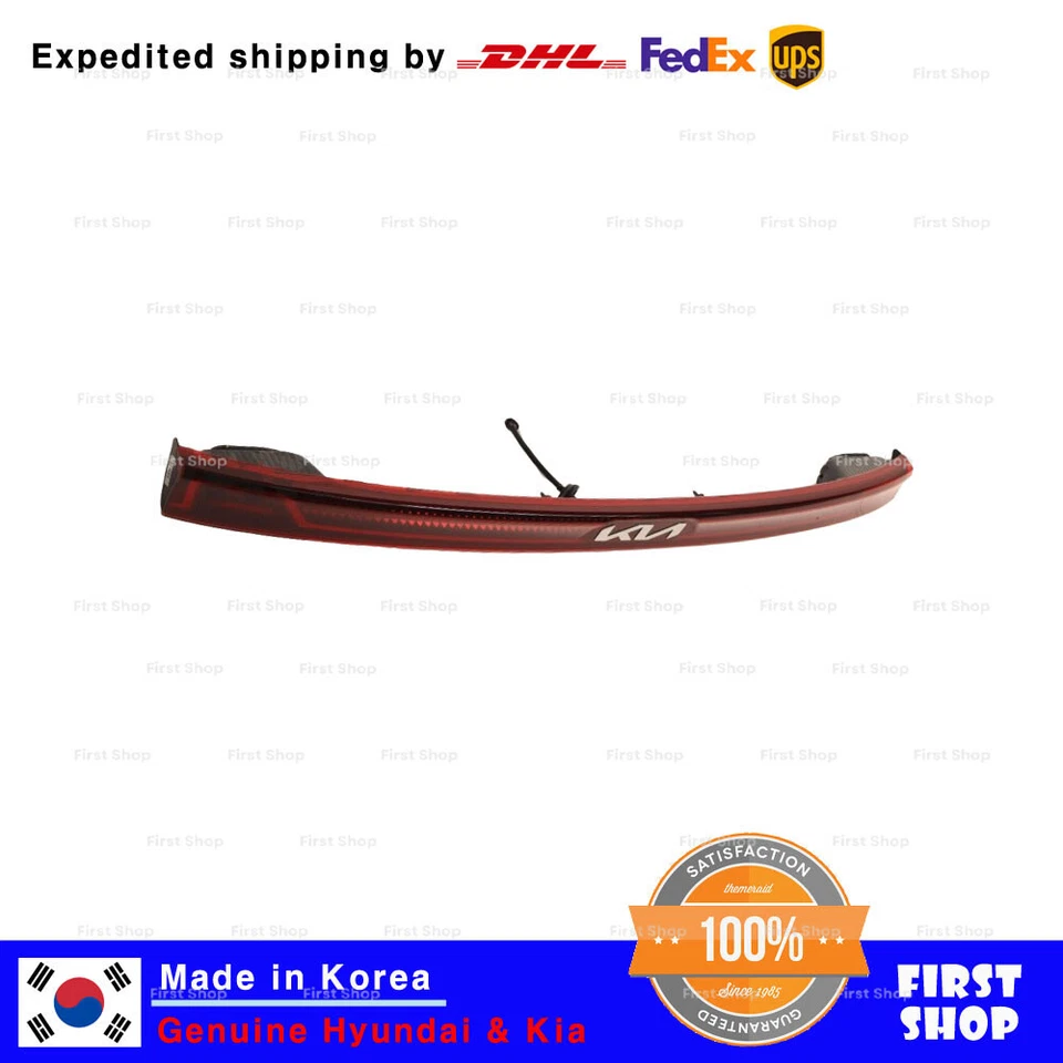 Original OEM 92409R0320 Lámpara ASSY Decoración Central para Kia Sedona Carnival 2022+ Foto 3 de 3