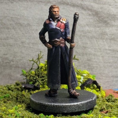 Gale Dekarios | Hand-Painted Miniature | Baldur's Gate 3 | Dungeons & Dragons