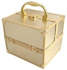 COMPACT SERIES Cosmetic Train Case Beauty Makeup Case - 4 Tier Trays