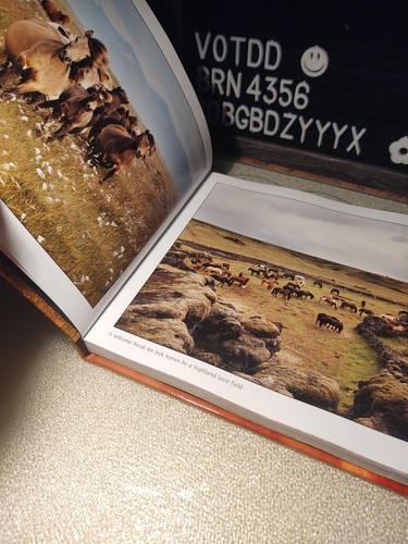 Rare Book VTG 2013 2016 THE Horses of Iceland Gigia Einarsdottir 300 PHOTOGRAPHS - Picture 12 of 24