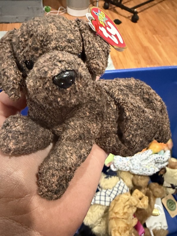 Retro Ty Beanie Baby FETCHER the Brown Lab Dog Plush (2000) - - Cleaned