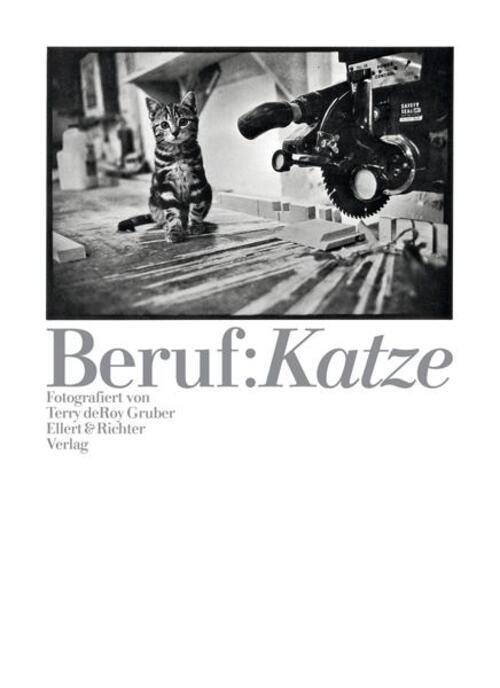 Thumbnail - Beruf: Katze Terry Deroy Gruber Taschenbuch 160 S. Deutsch 2012 Ellert