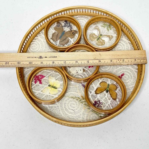 Vintage MCM Pressed Butterfly Bamboo Tray & Coaster Set 6 Pieces - Picture 11 of 13
