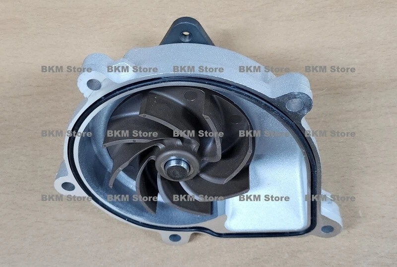 Conjunto de bomba de refrigerante original 251003A100 para Veracruz 2007-2015, Borrego 2009-2015 Foto 4 de 4