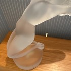 Picture 5 of 8