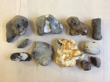 Flint Norfolk UK Cretaceous Teaching Rock Authentic Make Fire Camping 4.5kg!