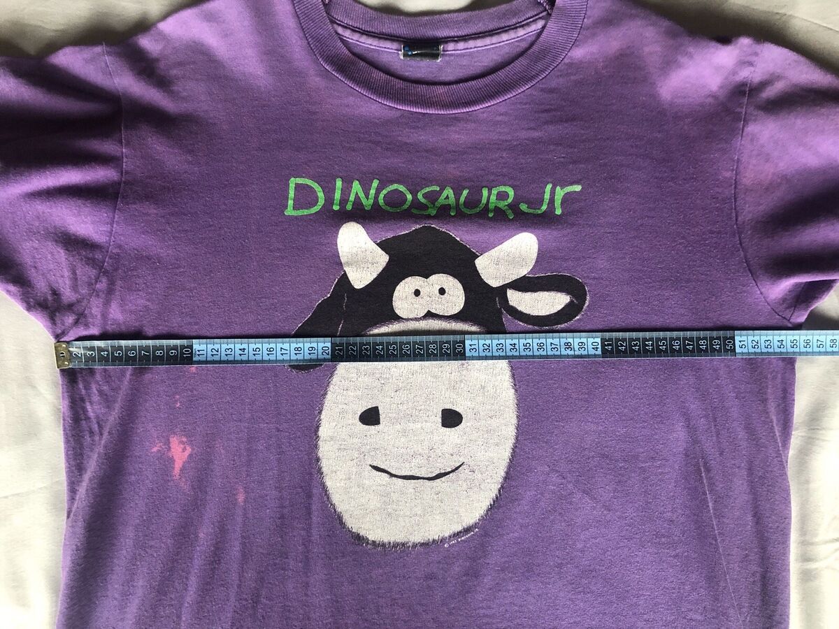 Vintage 1990's Dinosaur Jr Band T-shirt Original Screen Vintage 1990's Dinosaur Jr Band T-shirt Original Screen