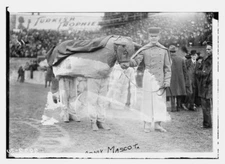 8" x 10" Photo 1910 Army mascot