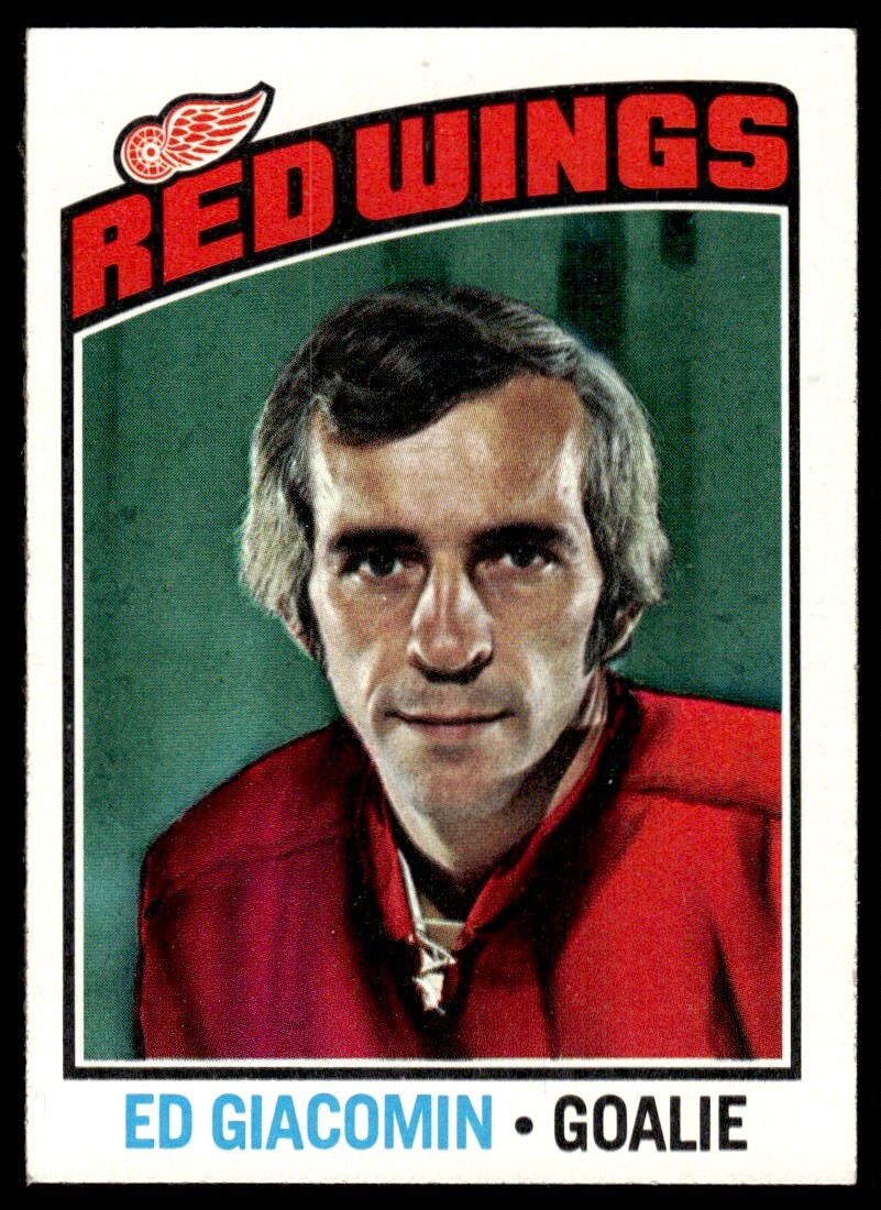 1976-77 Topps Hockey Card Ed Giacomin Detroit Red Wings #160 EX-MT