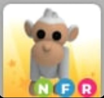 Albino Monkey | FR | NFR | MFR | Adopt Now