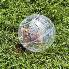 Chinchilla Clear Ball Hamster Ball Small Pet Running U:K Ball Exercise T1D5