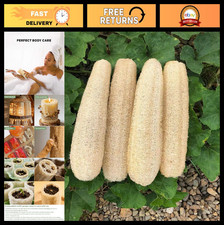 4 Pack Natural Loofah Sponges Exfoliating Body Scrubber for Shower Bath, Org