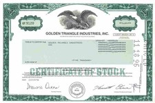 Golden Triangle Industries Inc. 1996 Orange Texas Aspen Cove Ct., Sugar Land Tx.